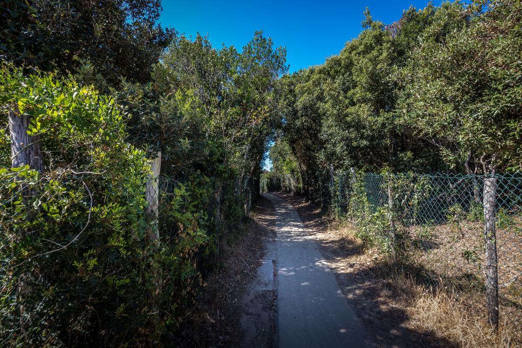 Camping Internazionale Etruria Castiglione della Pescaia Exterior photo